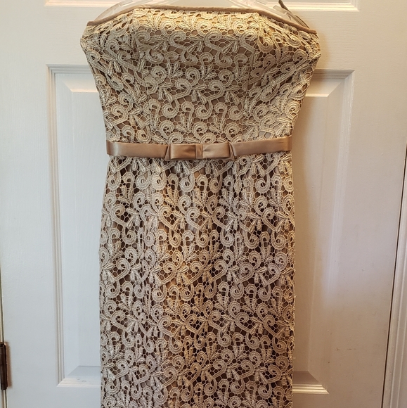 Cache Dresses & Skirts - Cache Strapless Gold Midi Embroidered Dress